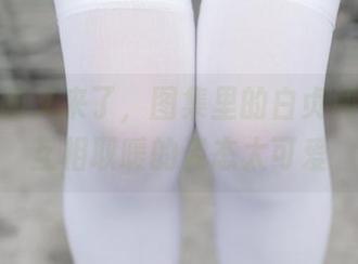 兔玩映画又来了，图集里的白贞和女仆，互相取暖的姿态太可爱